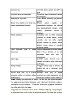 Paraugs 'Nodarbība tēlotājdarbībā', 2.