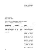 Prakses atskaite 'Aktīvā mācību un audzināšanas prakse pirmsskolā', 14.