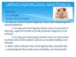 Prezentācija 'Akūta urīna retence', 3.