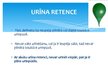 Prezentācija 'Akūta urīna retence', 9.
