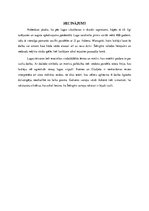 Referāts 'Viljams Šekspīrs "Romeo un Džuljeta"', 12.