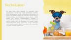 Prezentācija 'Biznesa ideja - plāns mājdzīvnieku viesnīcai', 17.