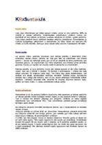 Referāts 'Krāsu teorija', 1.