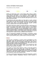 Referāts 'Krāsu teorija', 3.