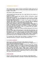 Referāts 'Krāsu teorija', 9.