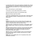 Referāts 'Krāsu teorija', 10.