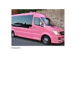 Biznesa plāns 'Pakalpojumu sniegšanas organizācija, skaistumkopšana', 15.