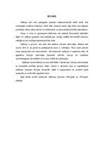 Referāts 'Inflācijas procesu raksturojums Latvijā', 3.