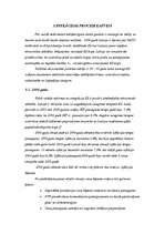 Referāts 'Inflācijas procesu raksturojums Latvijā', 9.