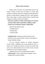 Referāts 'Mārketinga stratēģiskā plānošana uzņēmumā “Lotos – 2”', 3.