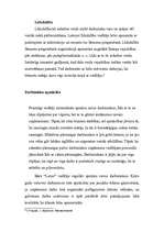 Referāts 'Mārketinga stratēģiskā plānošana uzņēmumā “Lotos – 2”', 10.