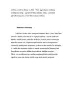 Referāts 'Mārketinga stratēģiskā plānošana uzņēmumā “Lotos – 2”', 22.