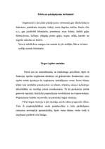 Referāts 'Mārketinga stratēģiskā plānošana uzņēmumā “Lotos – 2”', 24.