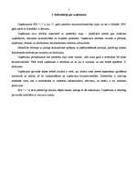 Prakses atskaite 'Pārskats par mazumtirdzniecības uzņēmumu', 5.