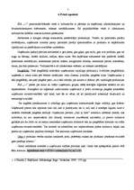 Prakses atskaite 'Pārskats par mazumtirdzniecības uzņēmumu', 7.