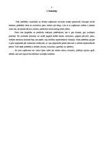 Prakses atskaite 'Pārskats par mazumtirdzniecības uzņēmumu', 8.