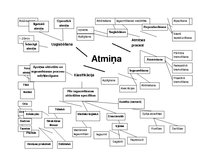 Konspekts 'Domu karte par atmiņu', 1.