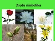 Prezentācija 'Ziedi un etiķete', 3.