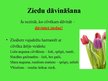 Prezentācija 'Ziedi un etiķete', 7.