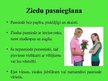 Prezentācija 'Ziedi un etiķete', 9.