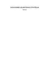 Referāts 'Saskarsmes uzlabošanas stratēģija', 1.