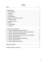 Referāts 'Saskarsmes uzlabošanas stratēģija', 2.