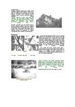 Referāts 'Edvarts Virza', 2.