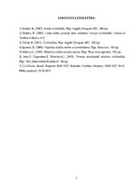 Eseja 'Labā ticība cilvēktiesībās', 7.