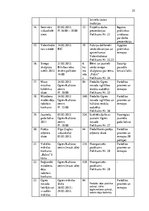 Prakses atskaite 'Ogres novada Bērnu un jauniešu centrs', 25.