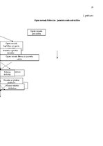 Prakses atskaite 'Ogres novada Bērnu un jauniešu centrs', 29.