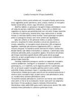 Referāts 'Latvija - Šengenas valsts. Latvijas transports Eiropas Savienībā', 4.