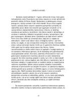 Referāts 'Latvija - Šengenas valsts. Latvijas transports Eiropas Savienībā', 11.