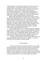 Referāts 'Latvija - Šengenas valsts. Latvijas transports Eiropas Savienībā', 16.