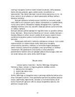 Referāts 'Latvija - Šengenas valsts. Latvijas transports Eiropas Savienībā', 21.