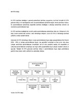 Referāts '"BTA" mārketinga stratēģija', 1.