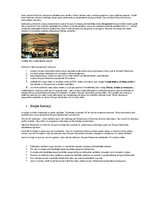 Referāts 'Eiropas Savienība', 4.