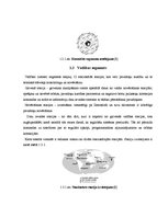 Paraugs 'GPS sistēmu precizitāte un tās paaugstināšanas veidi. Loģistikas laboratorijas d', 7.