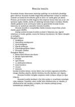 Referāts 'Elpceļu slimības', 6.