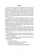 Referāts 'Finansiālās darbības rādītāju analīze uzņēmumā SIA "X"', 7.