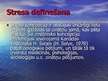 Prezentācija 'Stresa menedžments', 2.