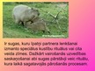 Prezentācija 'Dzīvnieku uzvedība pārošanās laikā', 20.