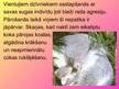 Prezentācija 'Dzīvnieku uzvedība pārošanās laikā', 22.