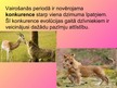 Prezentācija 'Dzīvnieku uzvedība pārošanās laikā', 23.