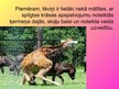 Prezentācija 'Dzīvnieku uzvedība pārošanās laikā', 24.