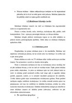 Referāts 'Reklāmas izpēte SIA "XXL"', 15.