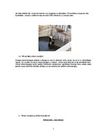 Referāts 'Elektroenerģijas patēriņš ģimenē', 5.