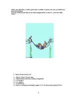 Referāts 'Elektroenerģijas patēriņš ģimenē', 9.