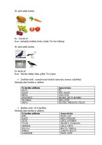 Konspekts 'Logopēdija', 7.