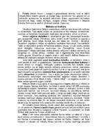 Referāts 'Itālija', 6.