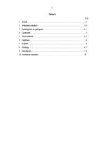 Referāts 'Reklāmas ētika', 1.